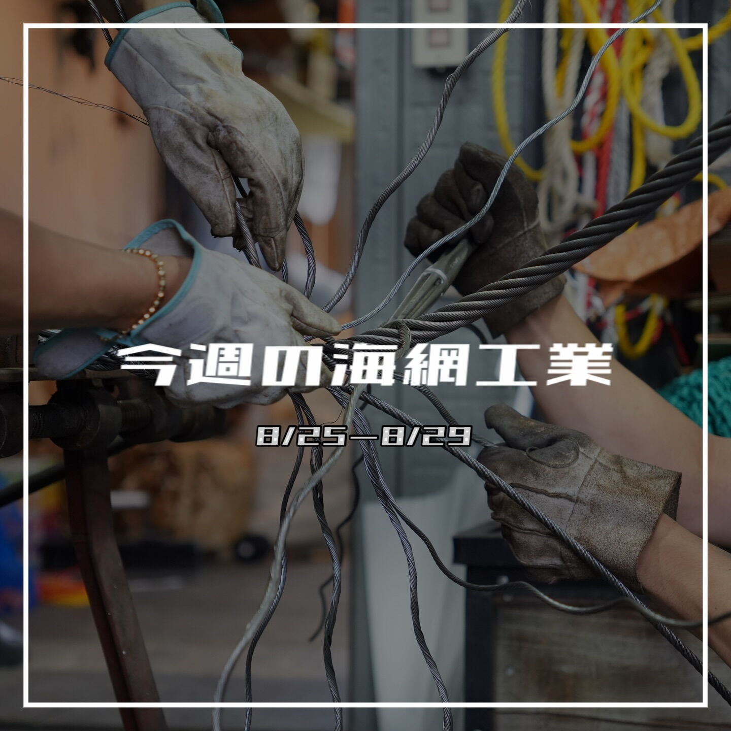 【今週の海網工業｜8/25〜8/29】