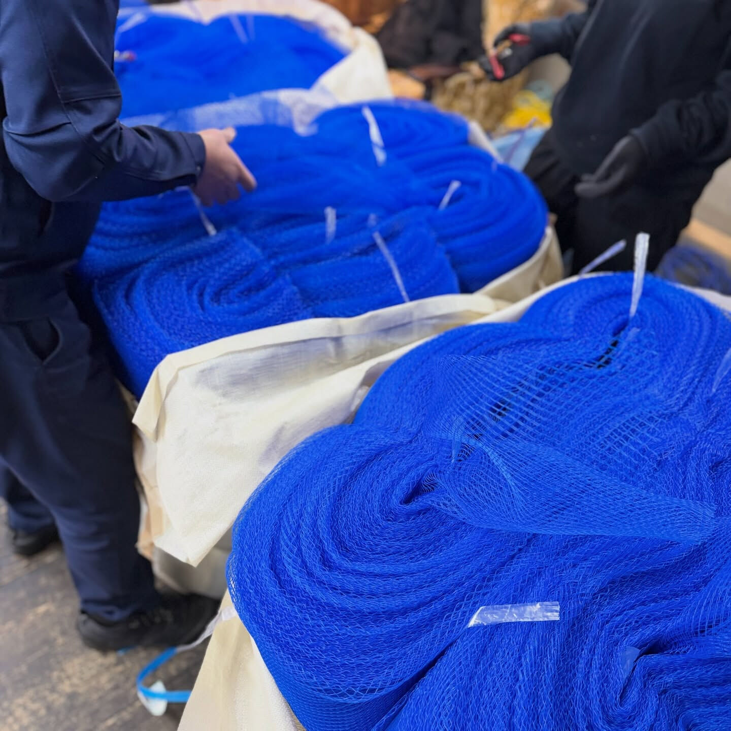 【今週の海網工業｜11/17〜11/21】