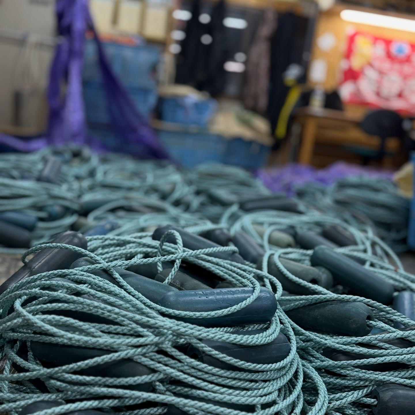 【今週の海網工業｜12/15〜12/19】